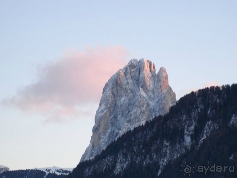 Альбом отзыва "Селла Ронда"