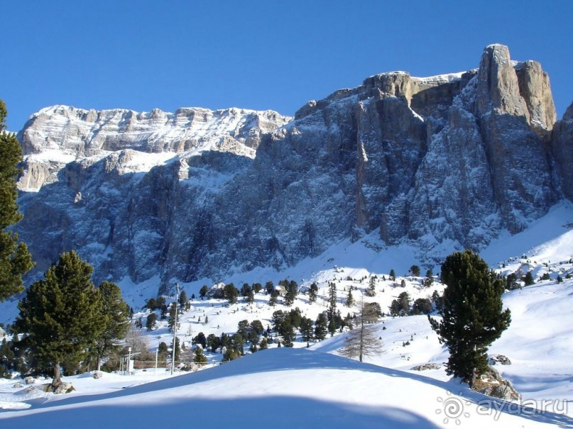 Альбом отзыва "Селла Ронда"