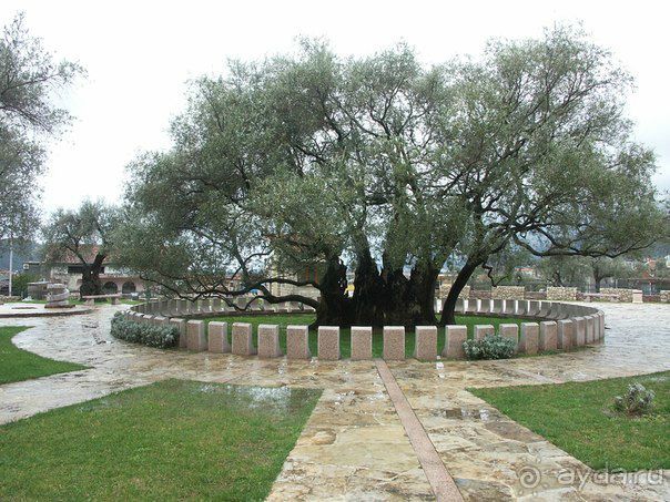 в черногорию с детьми