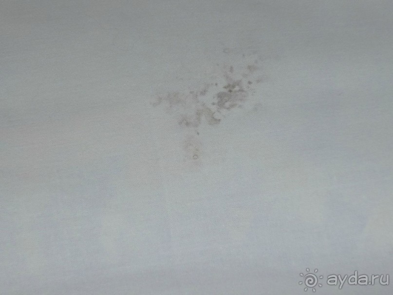 Новый год в ЛДЗАА