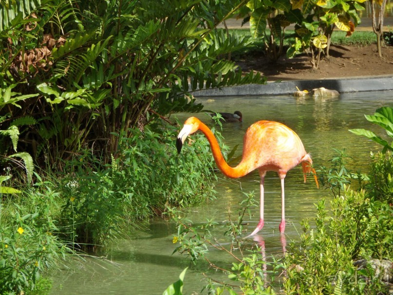 Неоправданная трата денег......