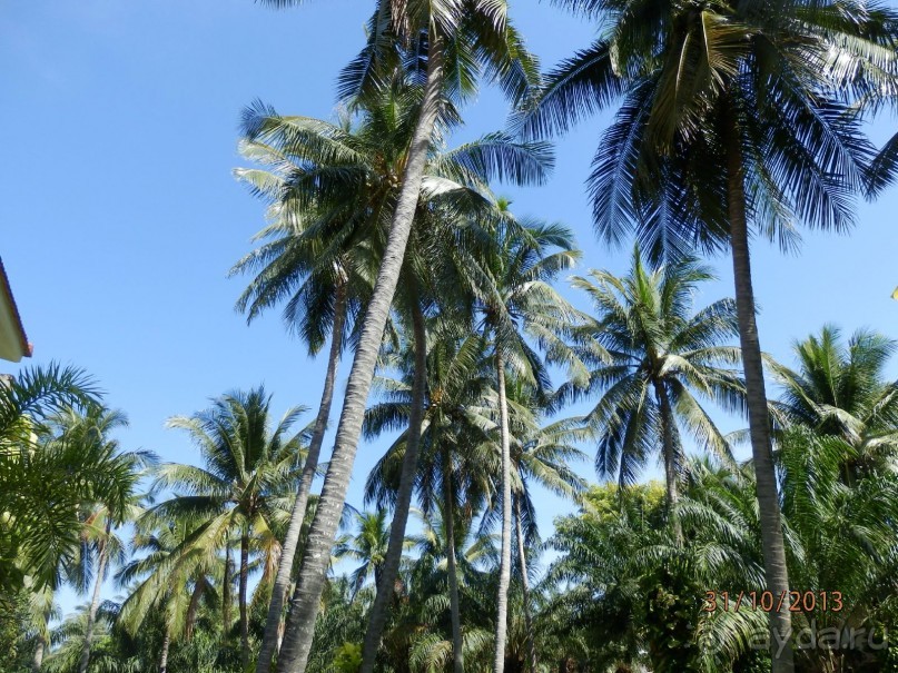 Стоит ли самостоятельно посетить Вьетнам и Камбоджу