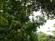 Стоит ли самостоятельно посетить Вьетнам и Камбоджу