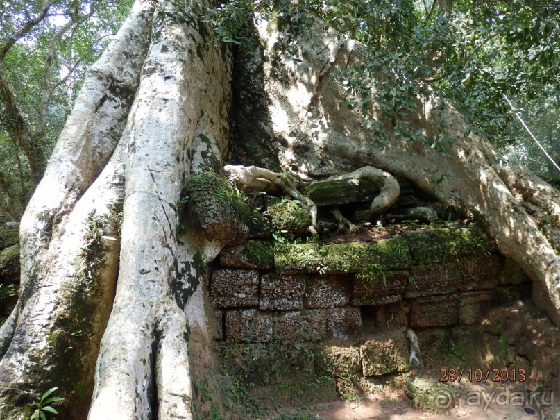 Стоит ли самостоятельно посетить Вьетнам и Камбоджу