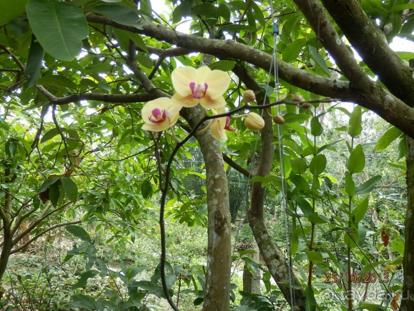 Стоит ли самостоятельно посетить Вьетнам и Камбоджу