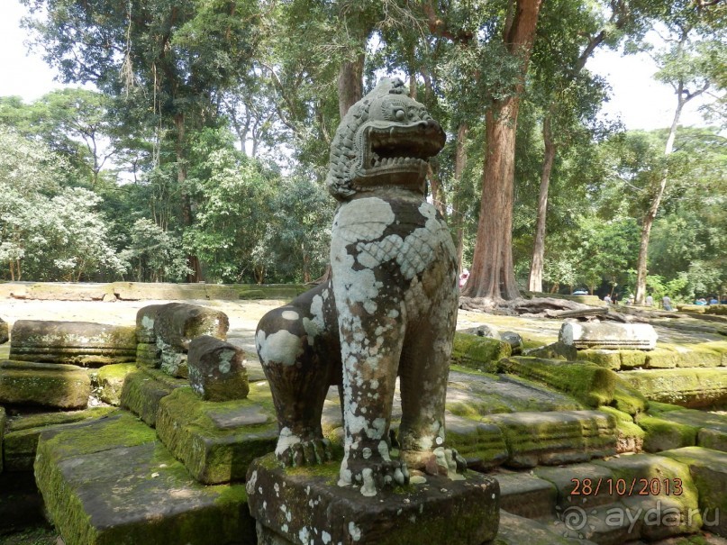 Стоит ли самостоятельно посетить Вьетнам и Камбоджу