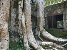 Стоит ли самостоятельно посетить Вьетнам и Камбоджу