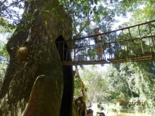 Стоит ли самостоятельно посетить Вьетнам и Камбоджу