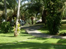 Стоит ли самостоятельно посетить Вьетнам и Камбоджу