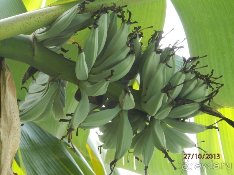 Стоит ли самостоятельно посетить Вьетнам и Камбоджу