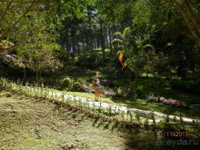 Стоит ли самостоятельно посетить Вьетнам и Камбоджу