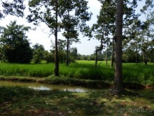 Стоит ли самостоятельно посетить Вьетнам и Камбоджу