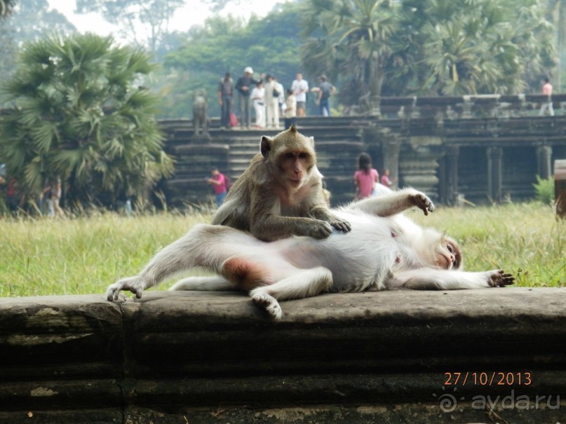 Стоит ли самостоятельно посетить Вьетнам и Камбоджу