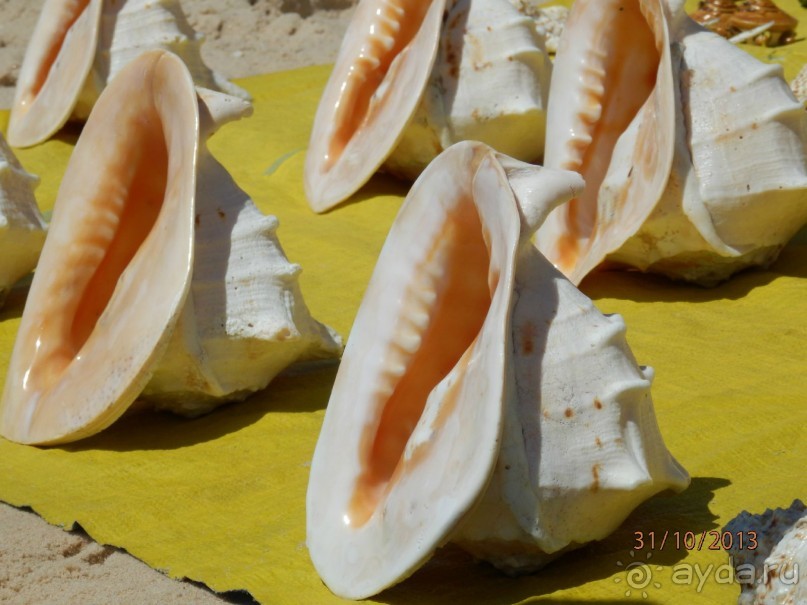 Стоит ли самостоятельно посетить Вьетнам и Камбоджу