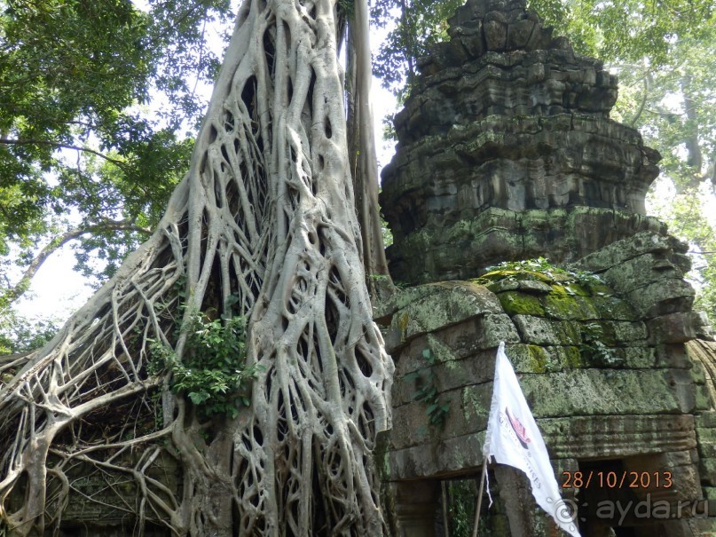 Стоит ли самостоятельно посетить Вьетнам и Камбоджу