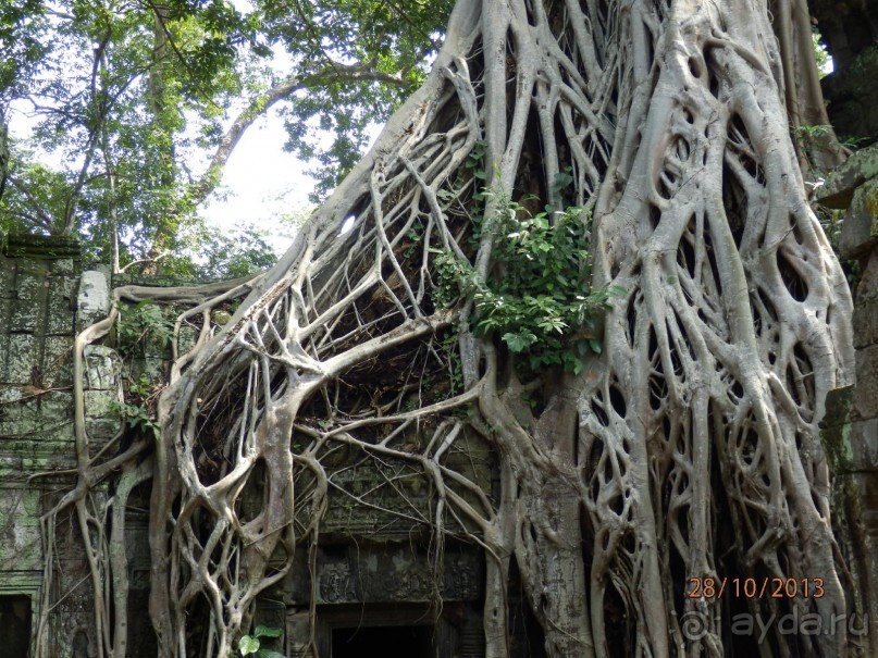 Стоит ли самостоятельно посетить Вьетнам и Камбоджу