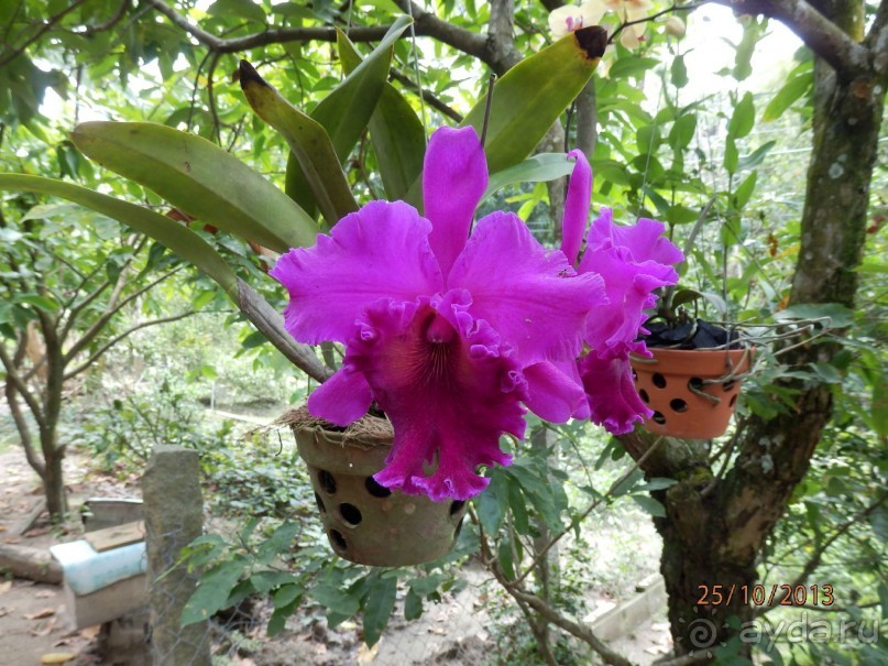 Стоит ли самостоятельно посетить Вьетнам и Камбоджу