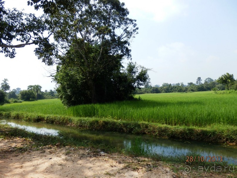 Стоит ли самостоятельно посетить Вьетнам и Камбоджу