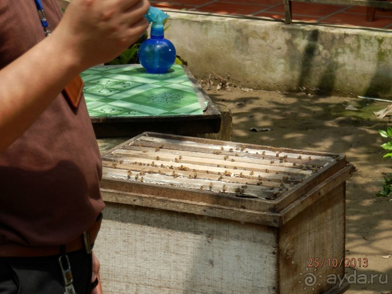 Стоит ли самостоятельно посетить Вьетнам и Камбоджу