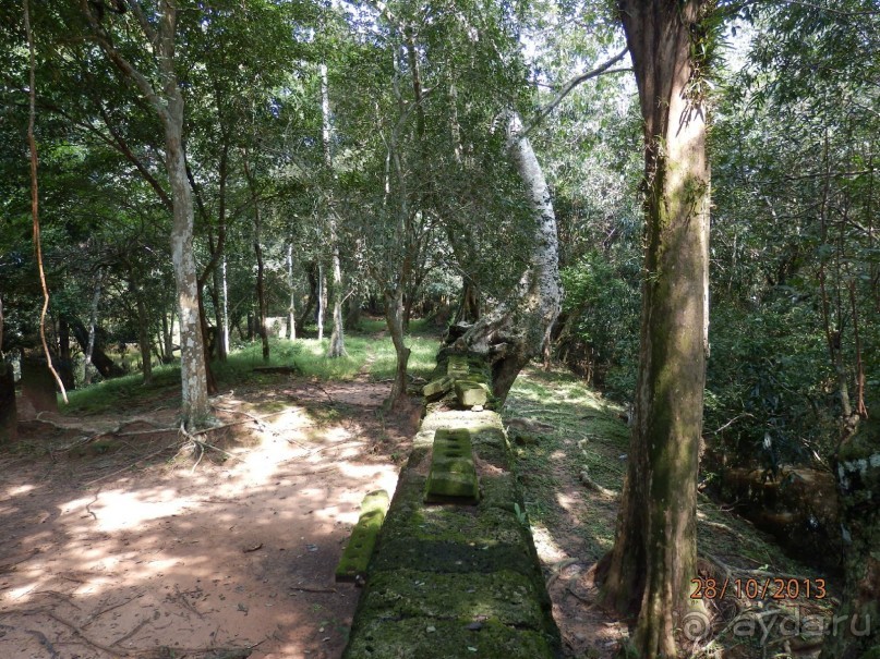 Стоит ли самостоятельно посетить Вьетнам и Камбоджу