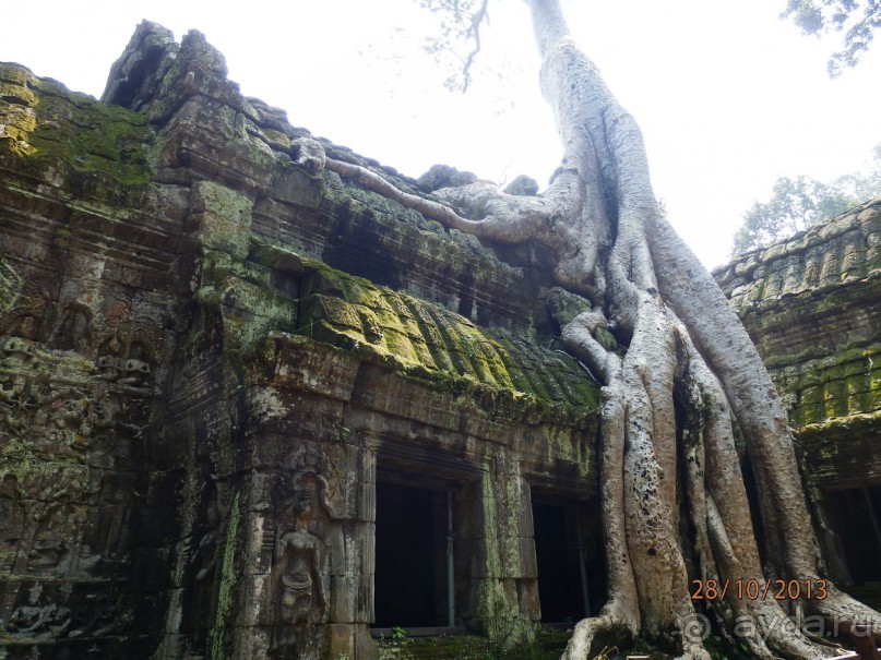 Стоит ли самостоятельно посетить Вьетнам и Камбоджу