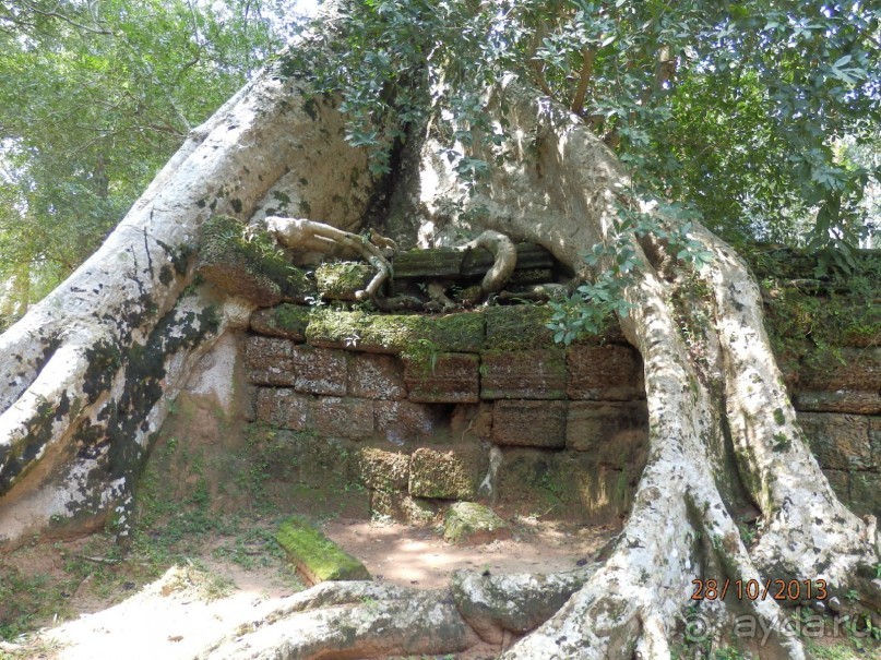 Стоит ли самостоятельно посетить Вьетнам и Камбоджу