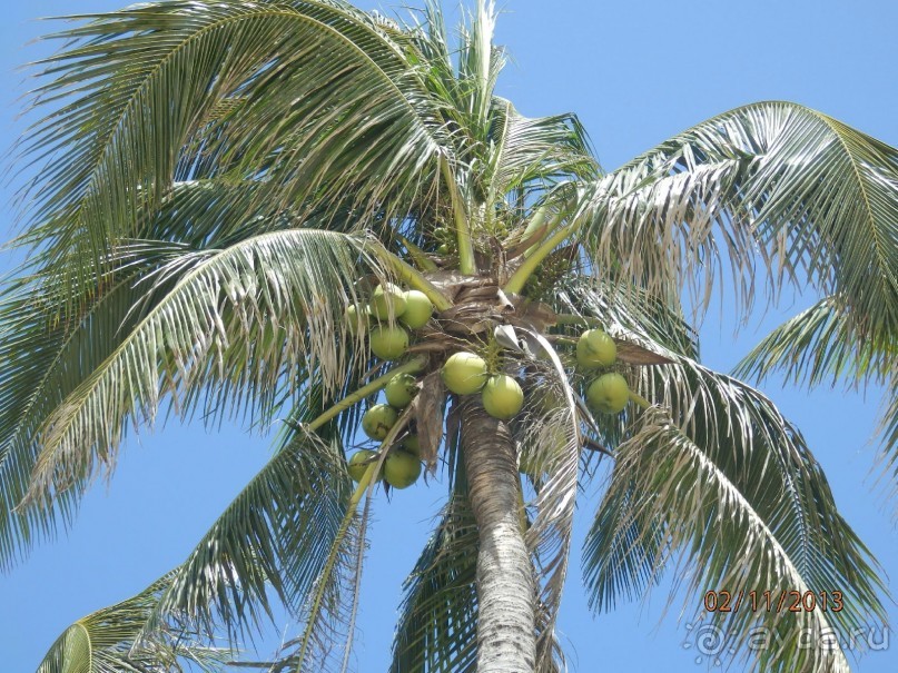 Стоит ли самостоятельно посетить Вьетнам и Камбоджу