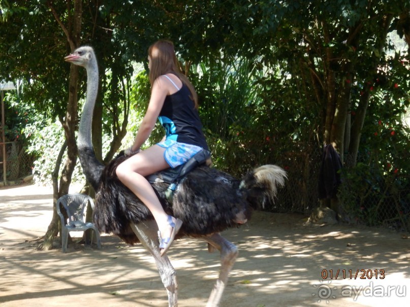 Стоит ли самостоятельно посетить Вьетнам и Камбоджу