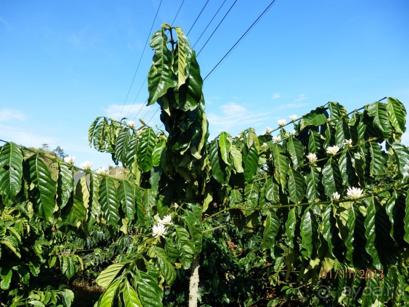 Стоит ли самостоятельно посетить Вьетнам и Камбоджу