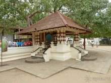 Самостоятельно по Шри Ланке