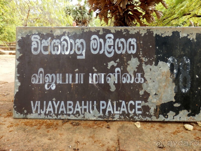 Самостоятельно по Шри Ланке