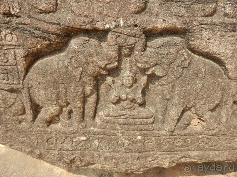 Самостоятельно по Шри Ланке