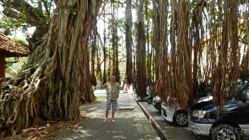 Самостоятельно по Шри Ланке