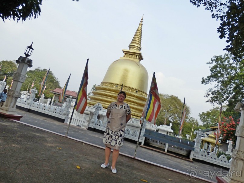 Самостоятельно по Шри Ланке