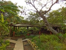 Самостоятельно по Шри Ланке