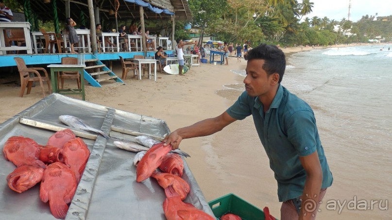 Самостоятельно по Шри Ланке