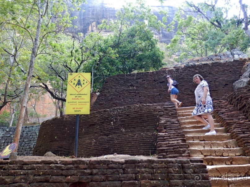 Самостоятельно по Шри Ланке