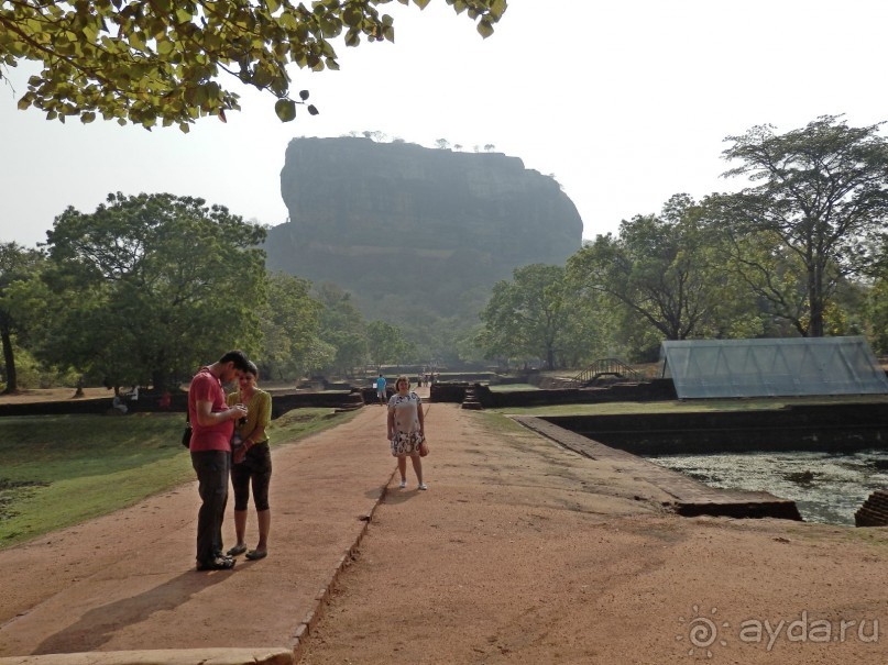 Самостоятельно по Шри Ланке