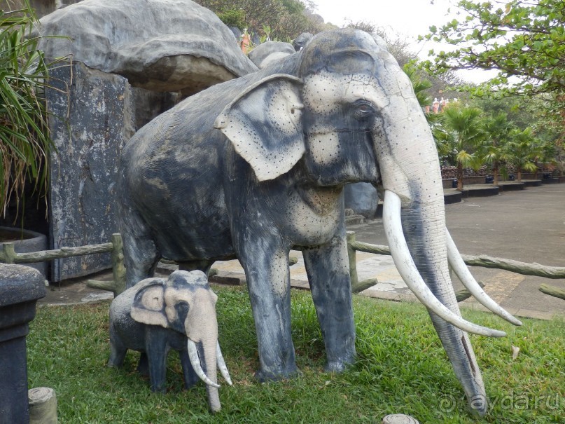 Самостоятельно по Шри Ланке