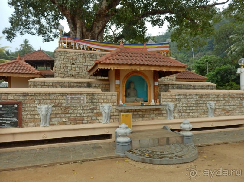 Самостоятельно по Шри Ланке