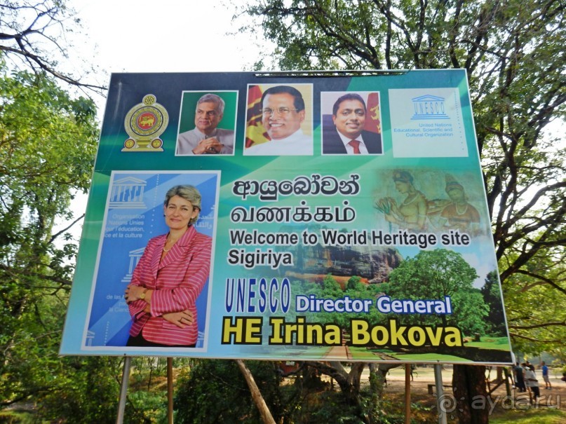 Самостоятельно по Шри Ланке