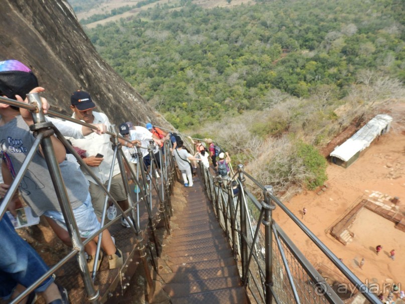 Самостоятельно по Шри Ланке