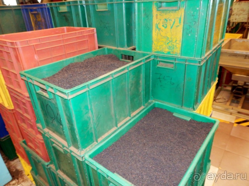 Самостоятельно по Шри Ланке