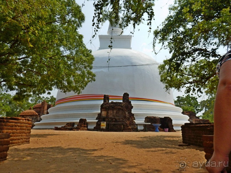 Самостоятельно по Шри Ланке