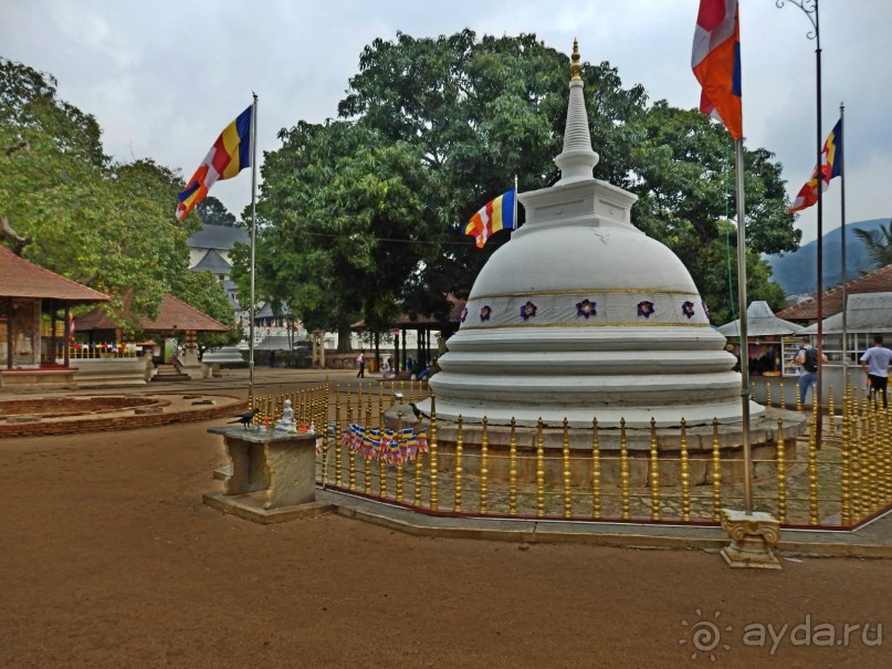 Самостоятельно по Шри Ланке