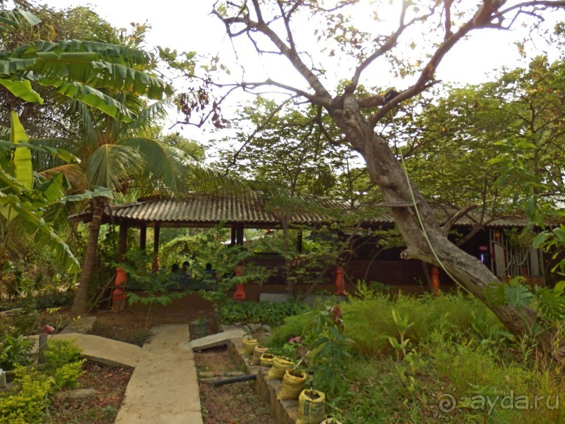 Самостоятельно по Шри Ланке