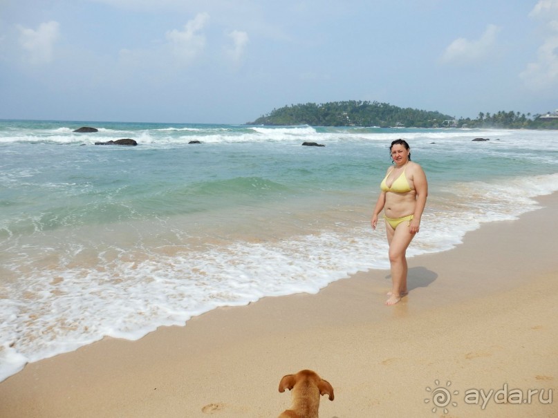 Самостоятельно по Шри Ланке