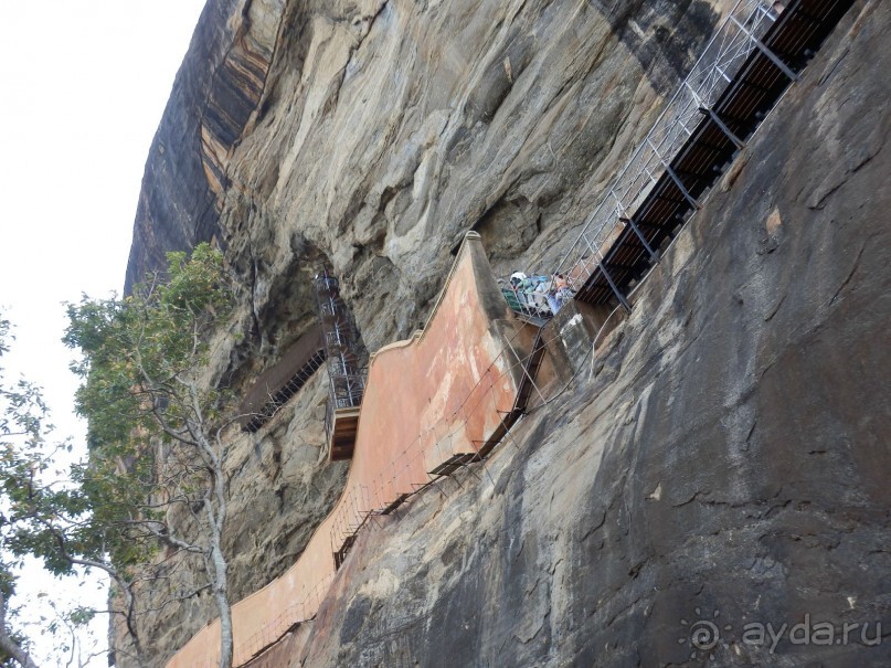 Самостоятельно по Шри Ланке
