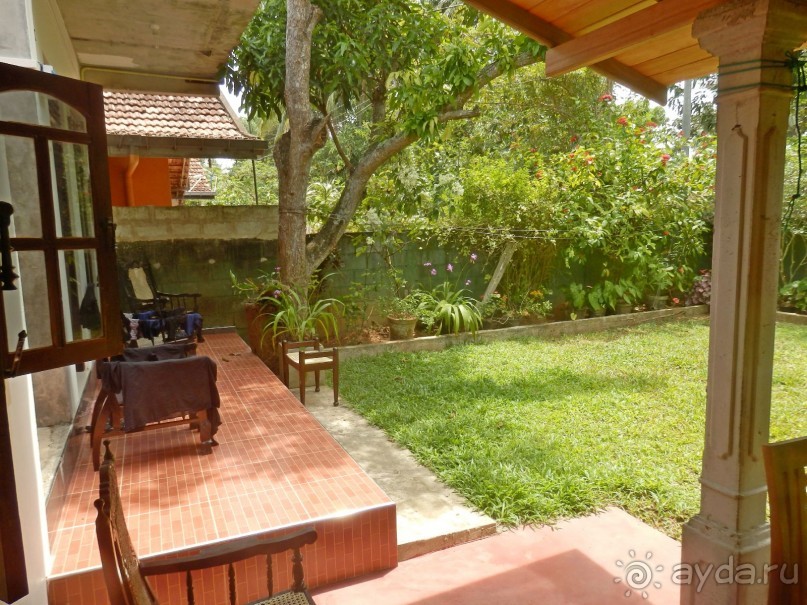 Самостоятельно по Шри Ланке