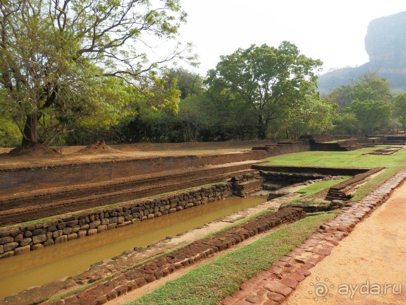 Самостоятельно по Шри Ланке